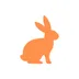 Rabbit Care app icon